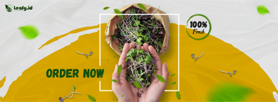 Iklan Sidebar Kanan atas 1