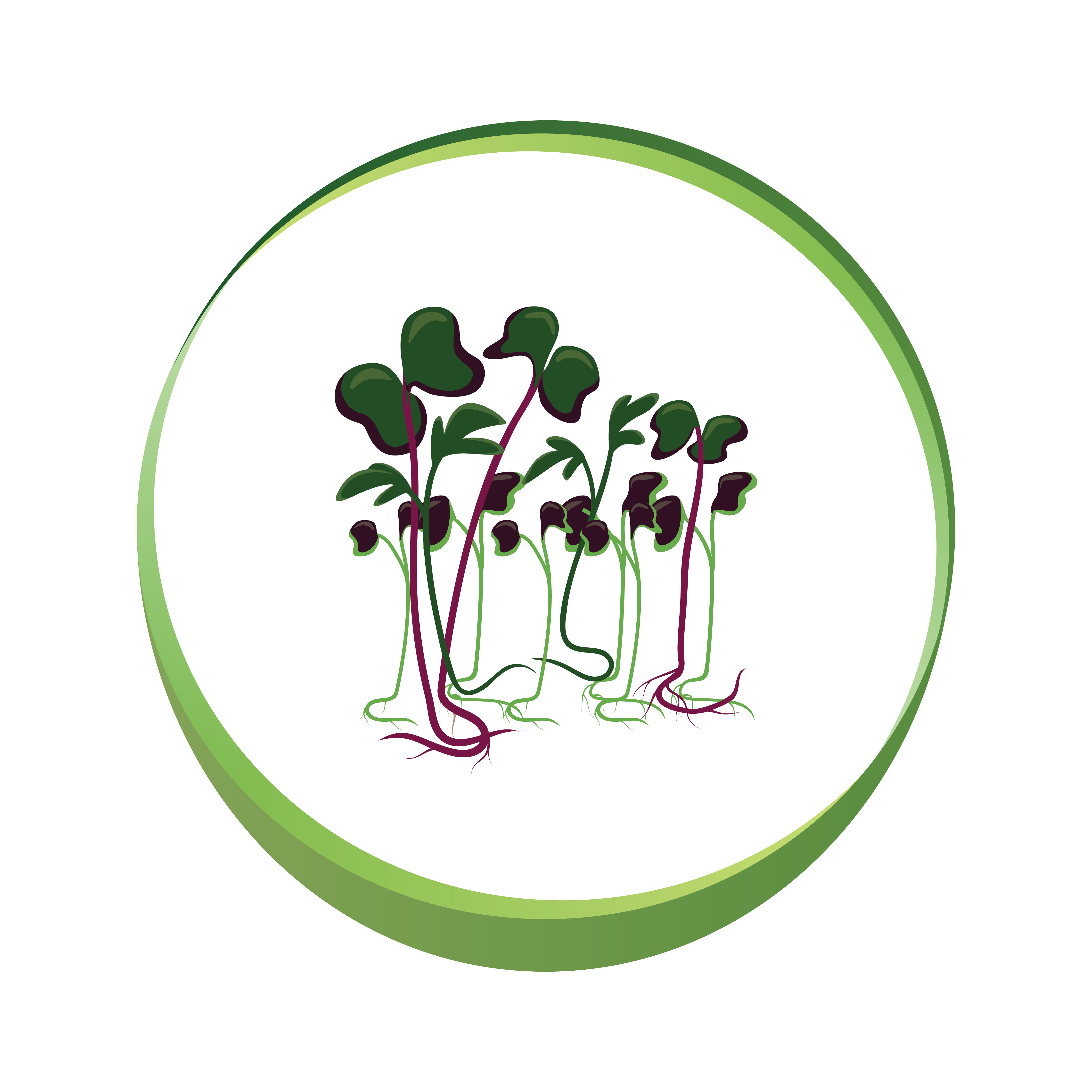 3__Microgreens-colors1.png